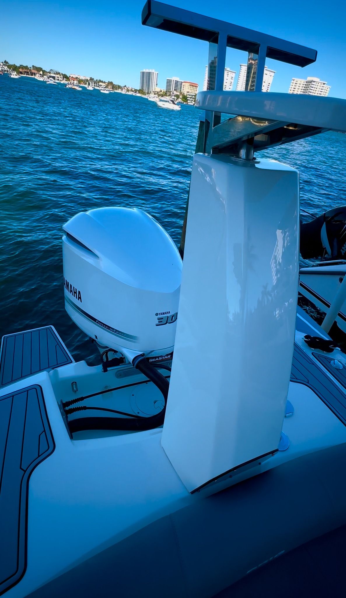 Boat detailing and ceramic coating result